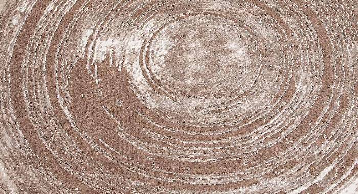 Ковер SAFIR 00843A BROWN / BROWN Овал