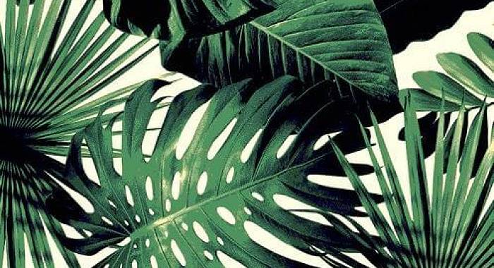 Ковер с цветами SCANDINAVIAN MONSTERA 10