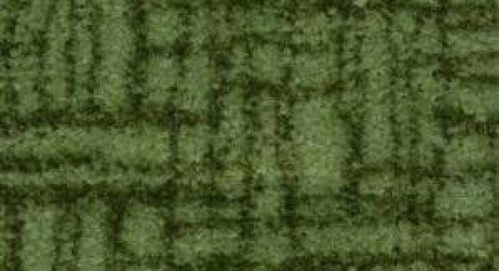 Грязезащитный коврик Mexico 20 0.4х0.6 green