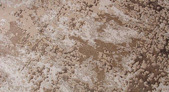 Ковровая Дорожка DOLCE F204 BEIGE