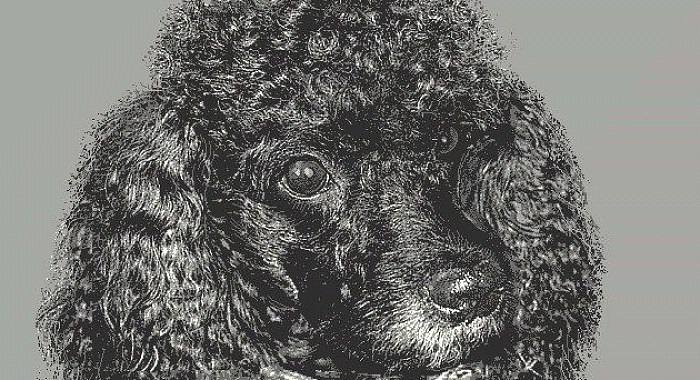 Детский ковер Звездный Пудель