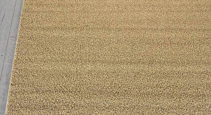 Ковер LANA T600 BEIGE 2