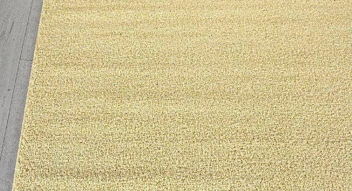 Ковер LANA T600 YELLOW 2