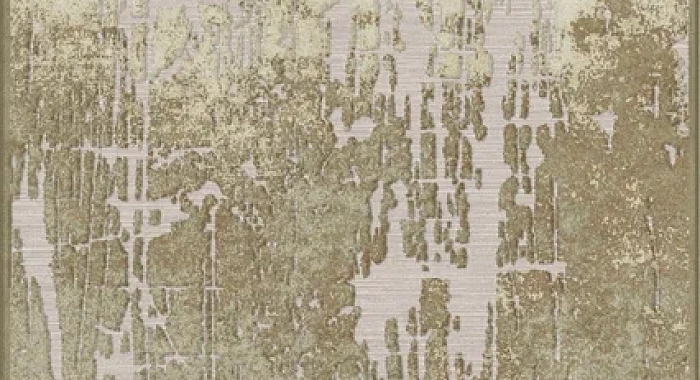 Ковер Farashe 0886 475110